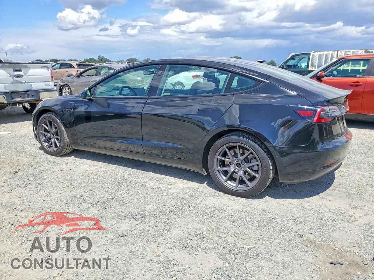 TESLA MDL 3 2021 - 5YJ3E1EA1MF065842