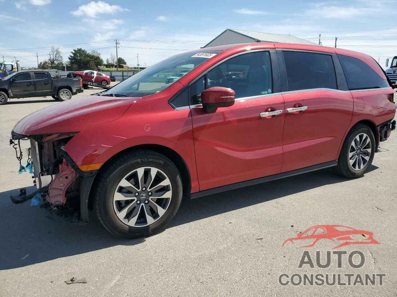HONDA All Models 2022 - 5FNRL6H76NB017297