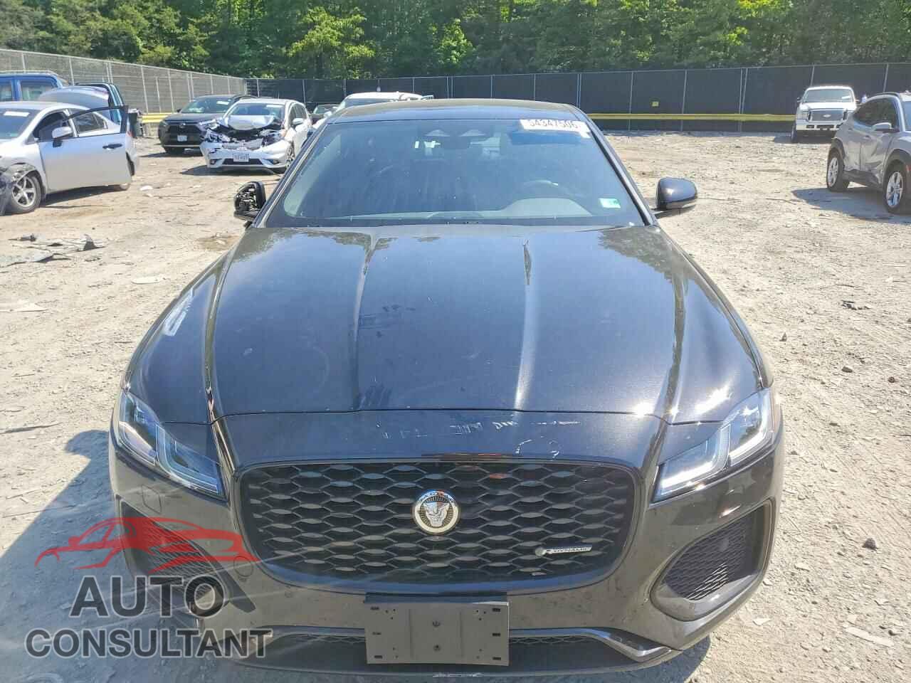 JAGUAR XF 2024 - SAJBL4GX4RCY96164