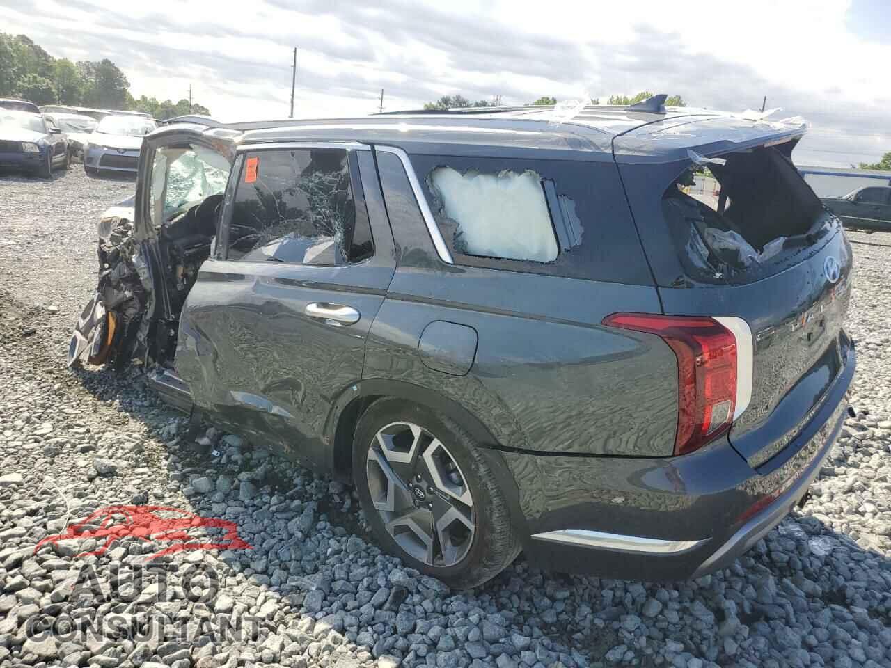 HYUNDAI PALISADE 2023 - KM8R54GEXPU545428