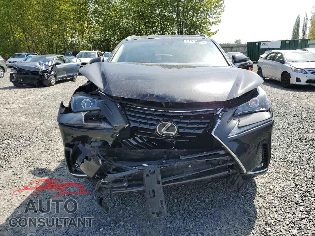 LEXUS NX 2019 - JTJBARBZ7K2212775