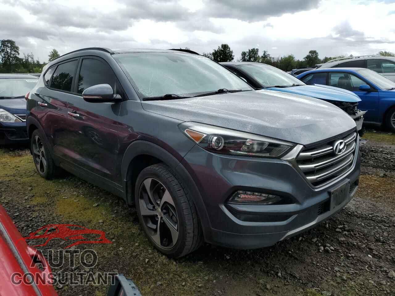 HYUNDAI TUCSON 2016 - KM8J3CA29GU071337