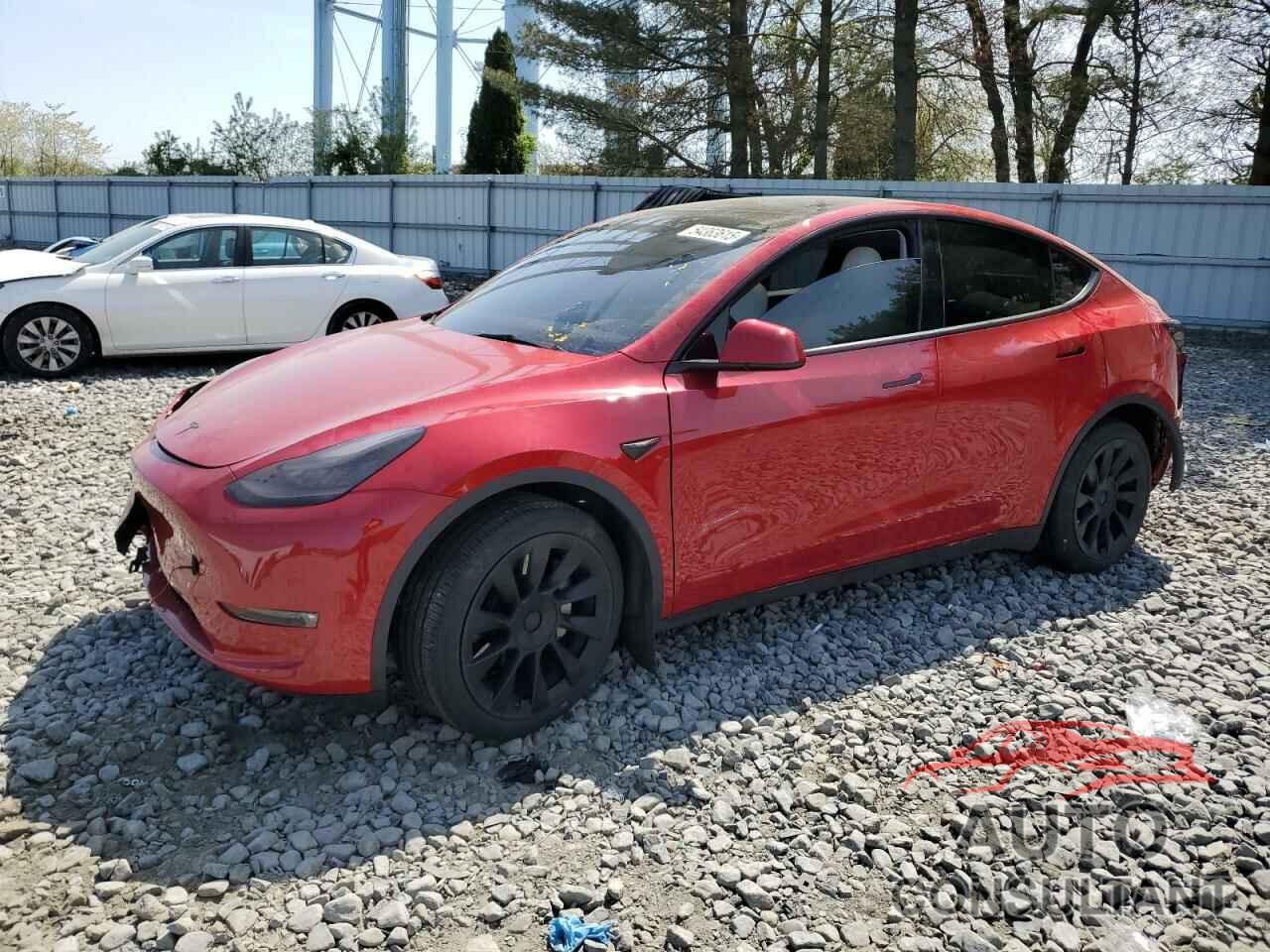 TESLA MODEL Y 2021 - 5YJYGDEE3MF189258