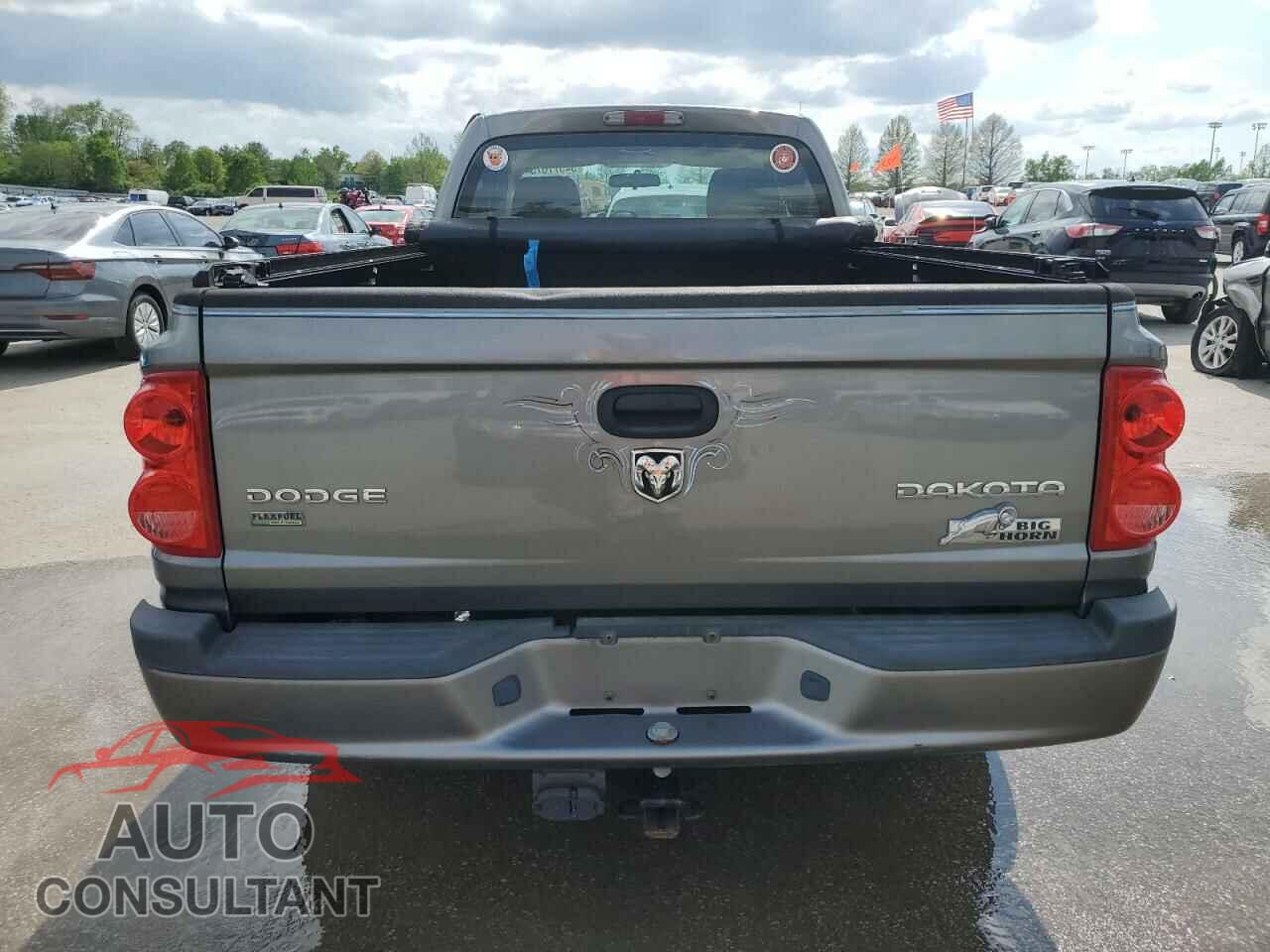 DODGE DAKOTA 2010 - 1D7CE3BP0AS188752
