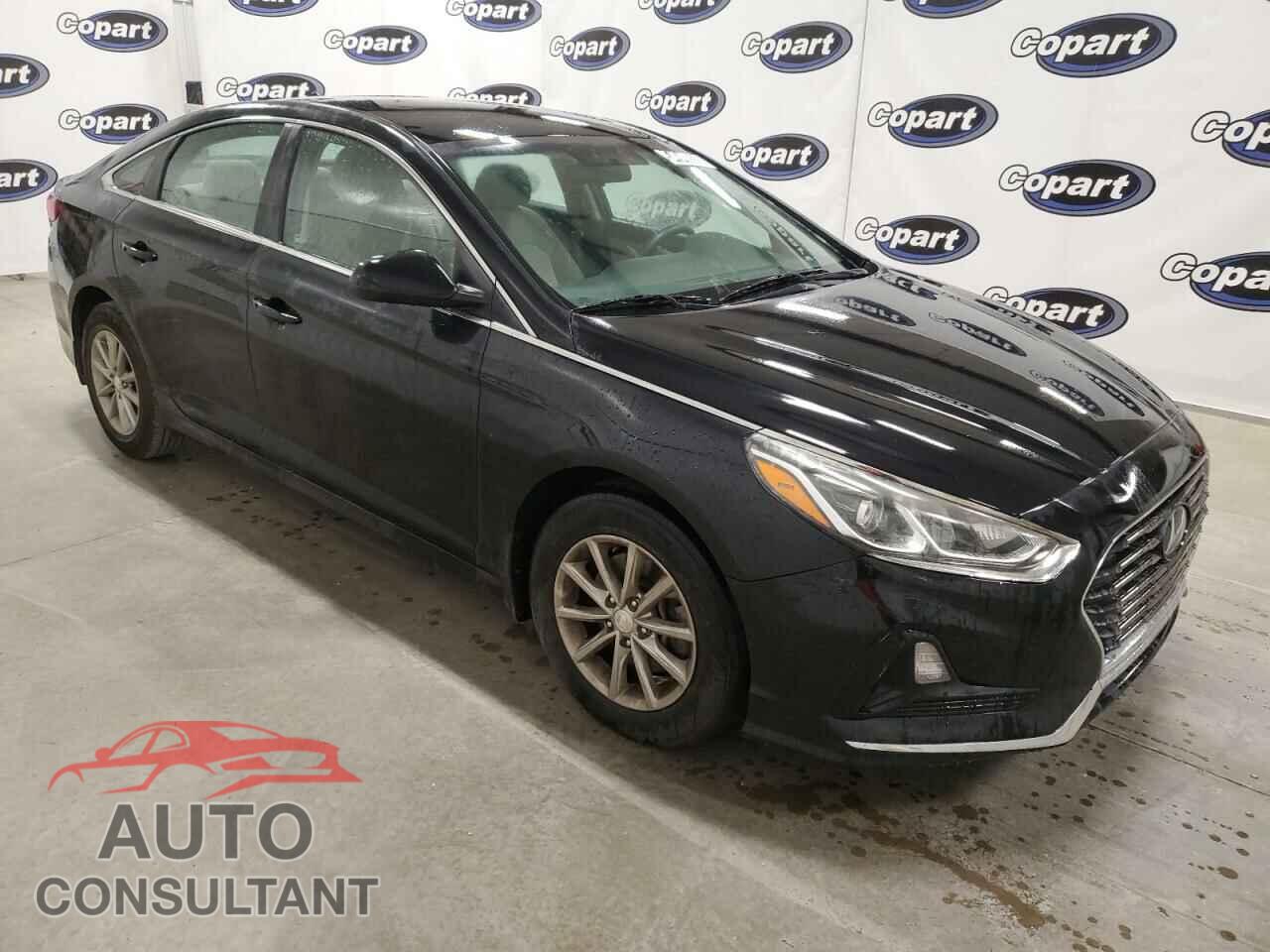 HYUNDAI SONATA 2019 - 5NPE24AF5KH730843