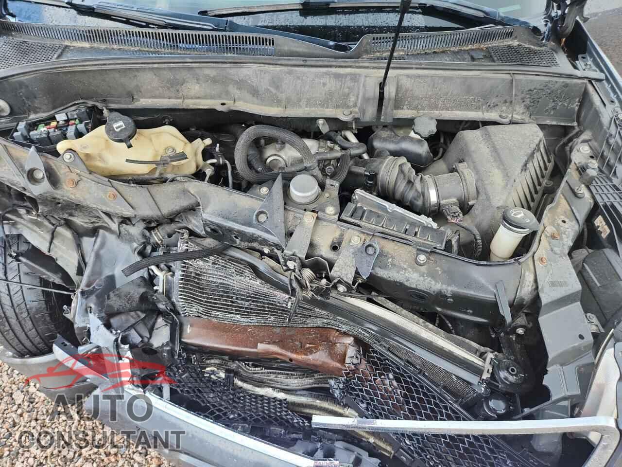 CHEVROLET TRAVERSE 2009 - 1GNER23D89S156527