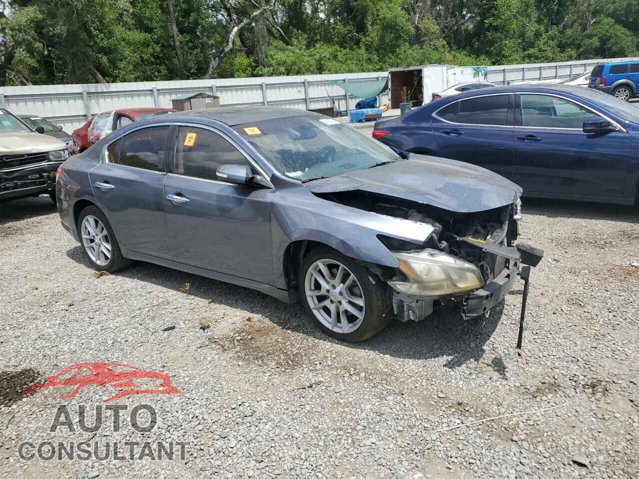 NISSAN MAXIMA 2011 - 1N4AA5APXBC802895