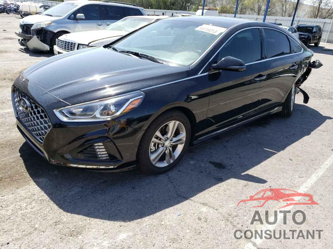 HYUNDAI SONATA 2019 - 5NPE34AF1KH816177