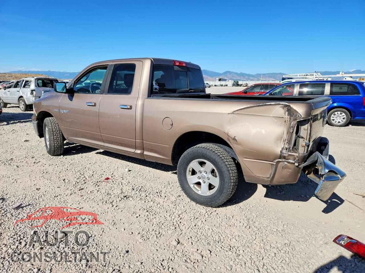 DODGE RAM 1500 2009 - 1D3HV18T09S809306