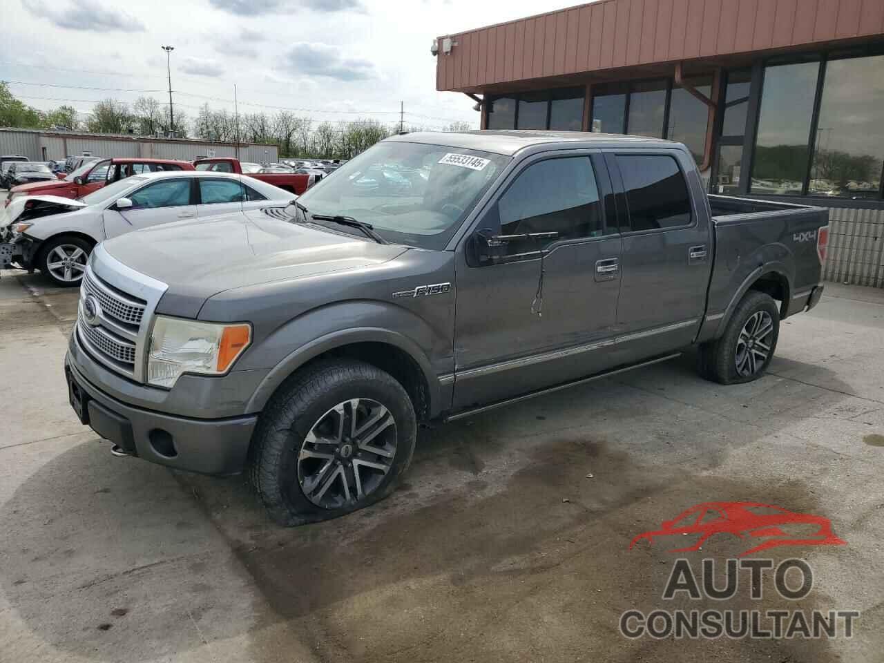 FORD F-150 2010 - 1FTFW1EV1AFB92899