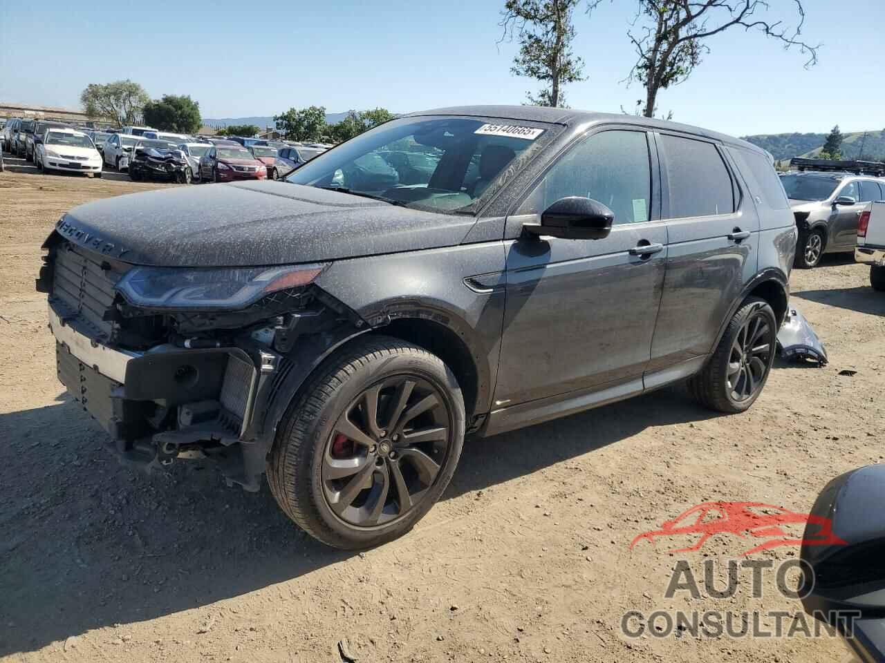 LAND ROVER DISCOVERY 2020 - SALCM2GX8LH847301
