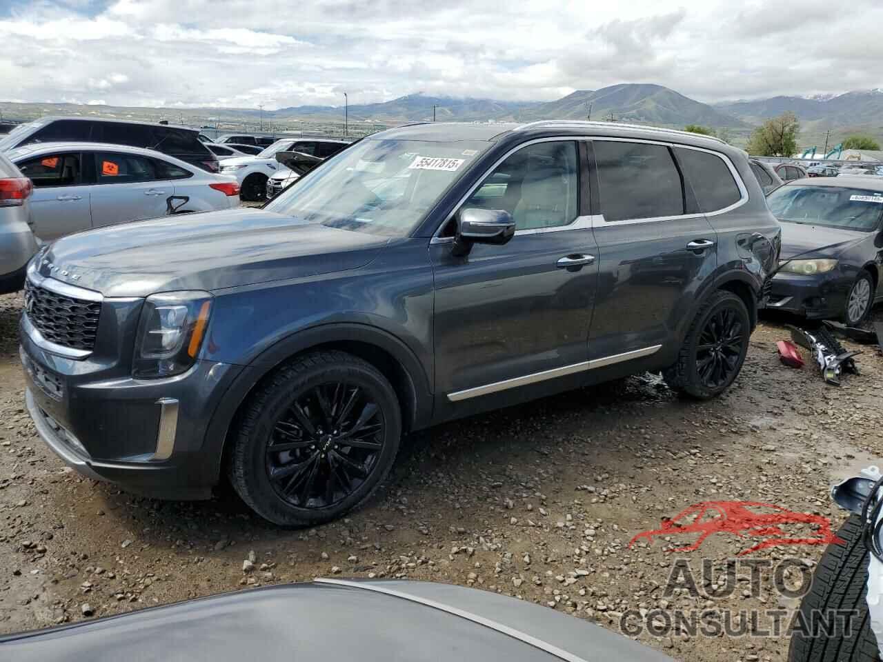 KIA TELLURIDE 2022 - 5XYP5DHC6NG276609