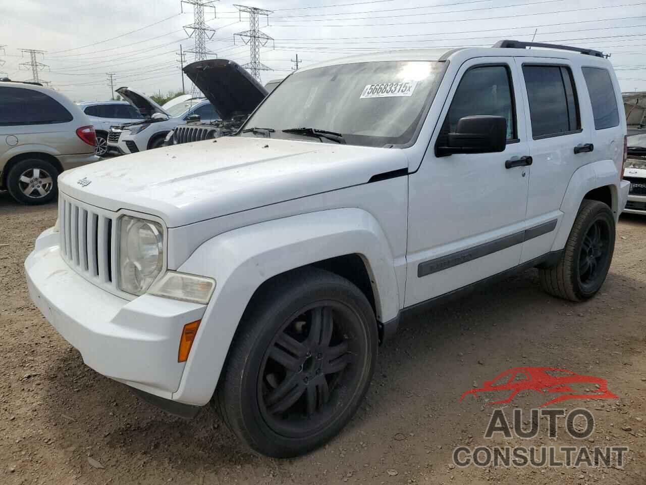 JEEP LIBERTY 2011 - 1J4PP2GK3BW533676