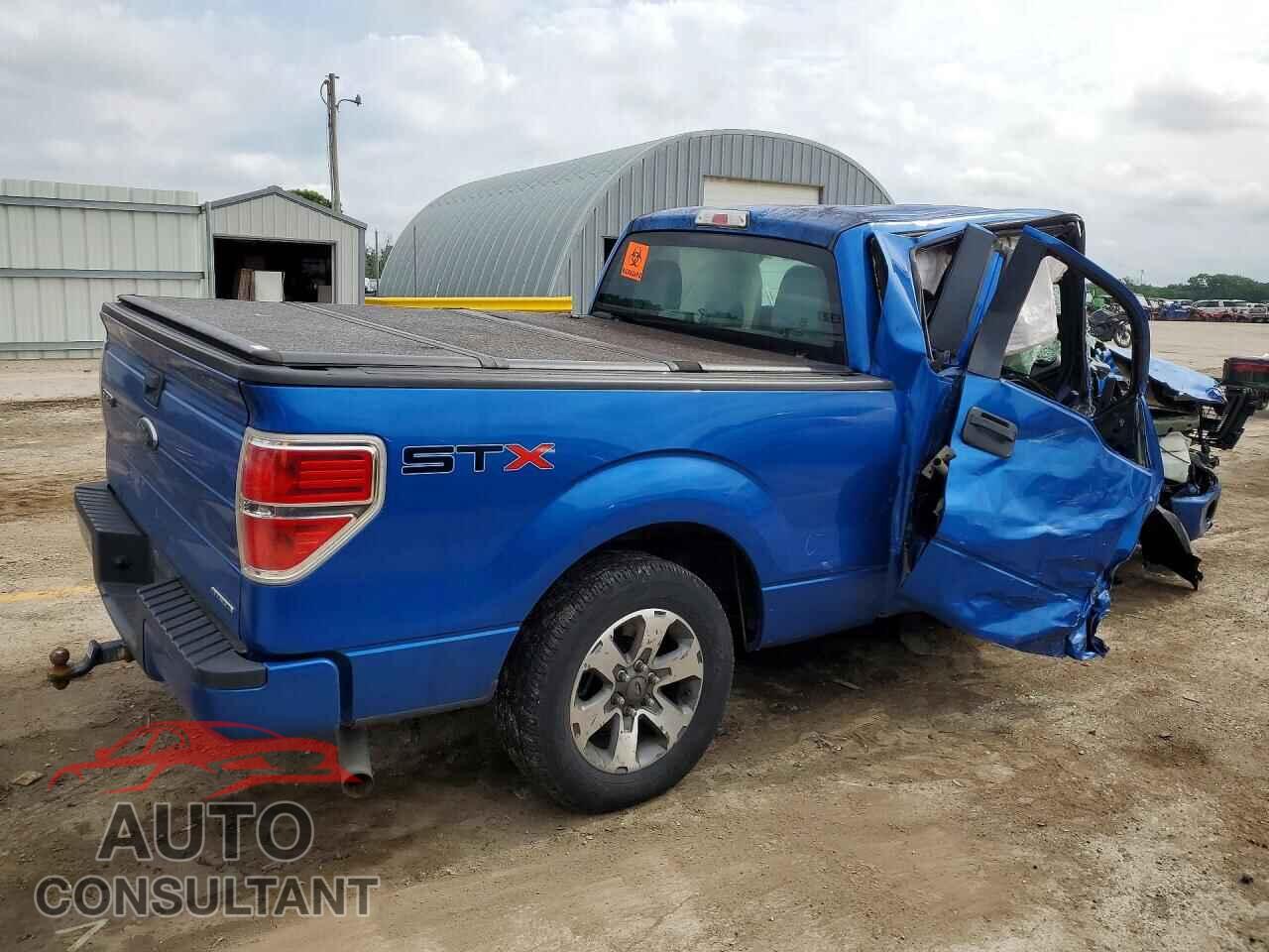 FORD F150 2013 - 1FTFX1CF3DFE03629