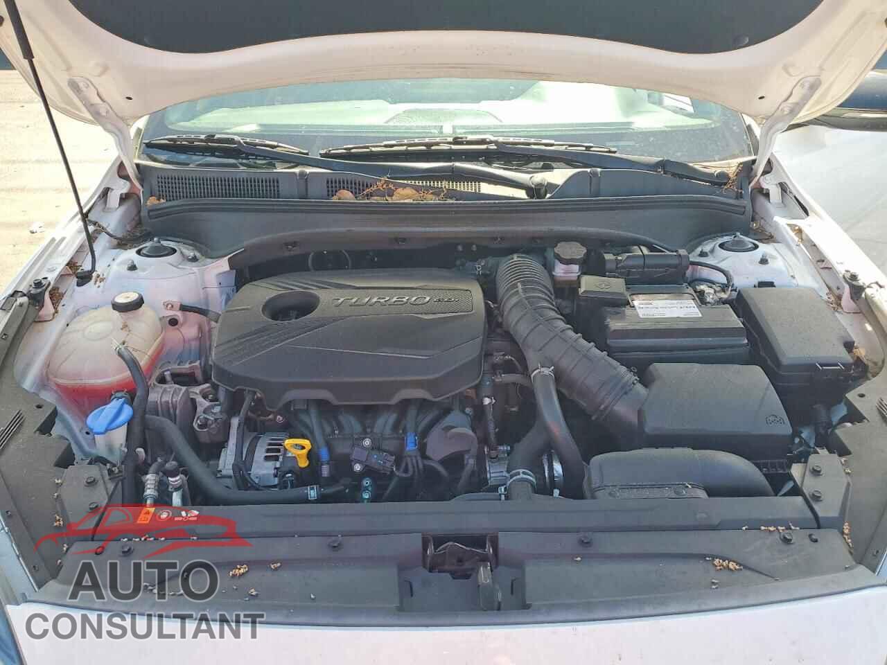 KIA FORTE 2023 - 3KPF44AC8PE543984