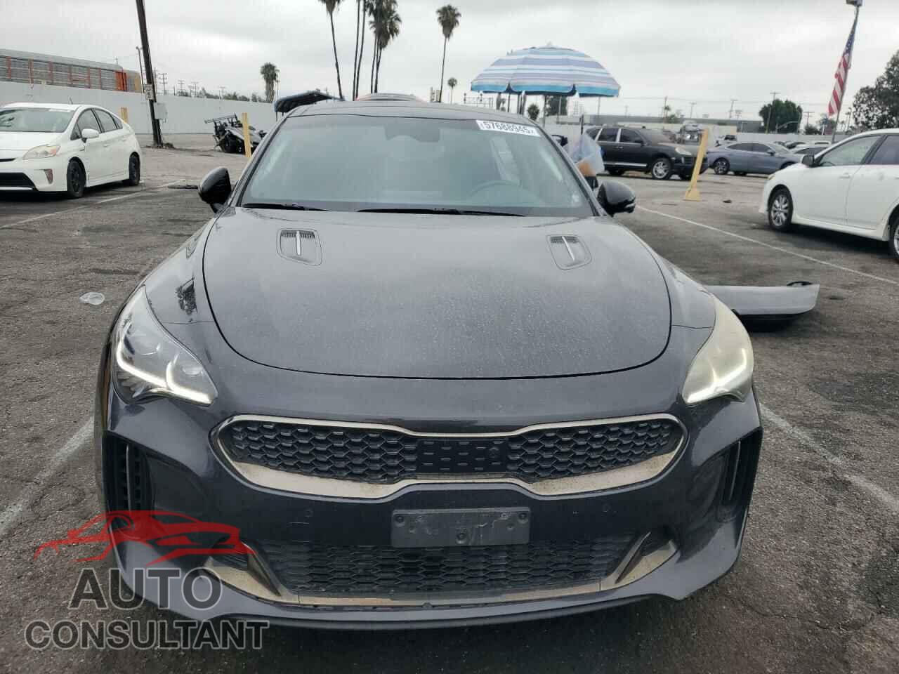 KIA STINGER 2023 - KNAE55LC1P6124793