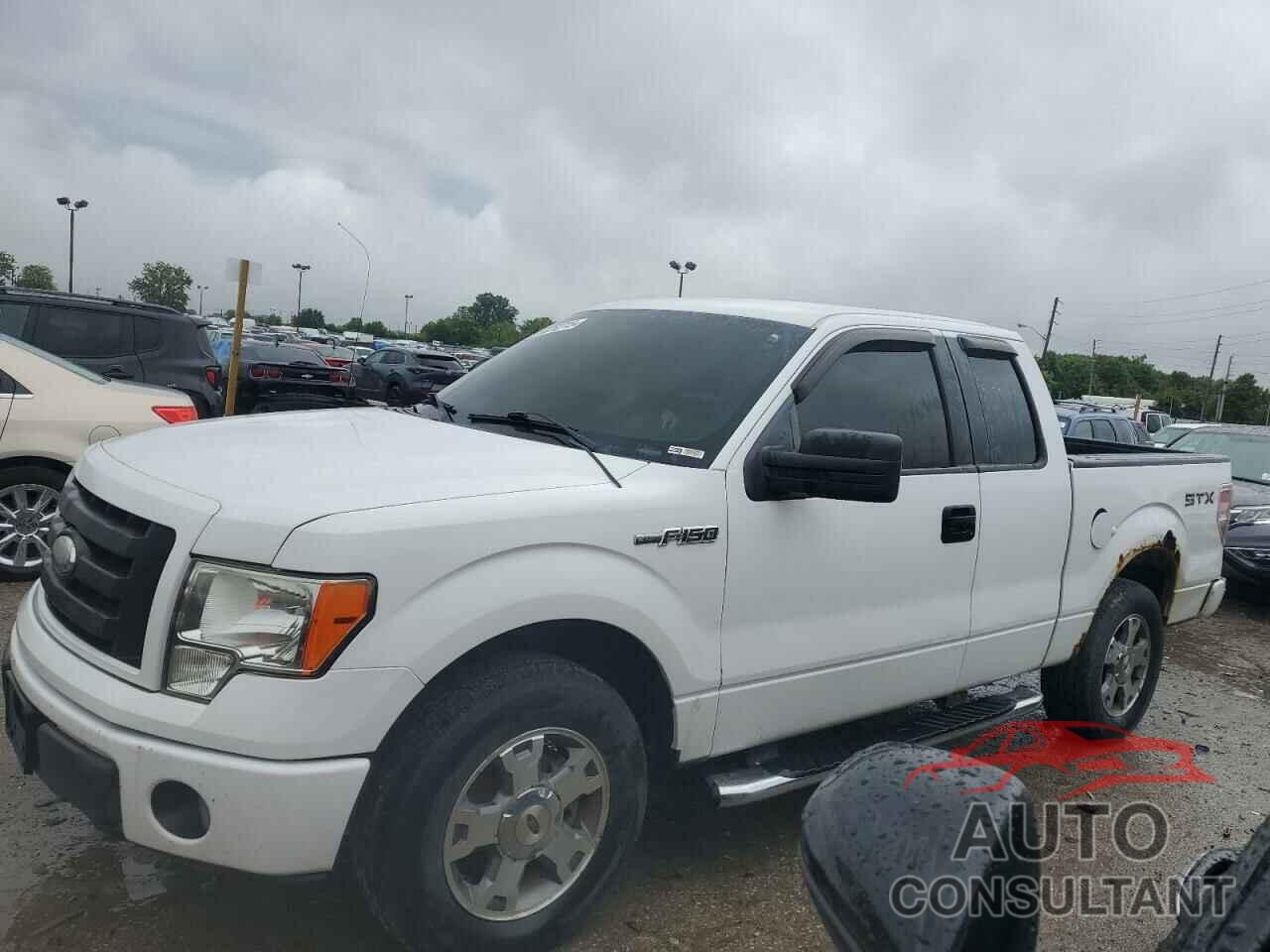 FORD F-150 2009 - 1FTRX12W09FA04019
