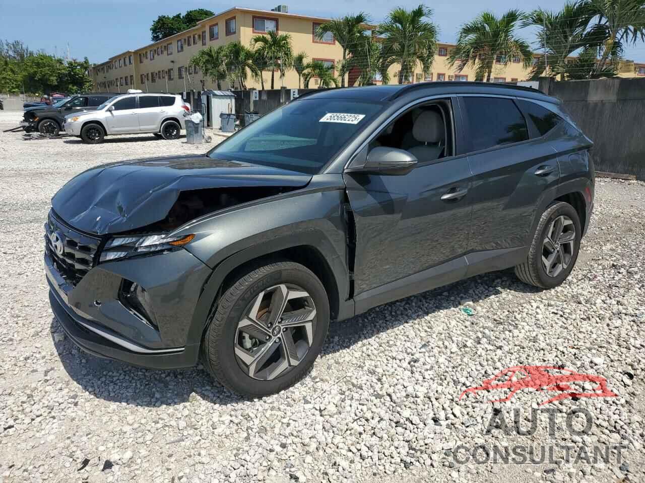 HYUNDAI TUCSON 2024 - KM8JCCD10RU235032