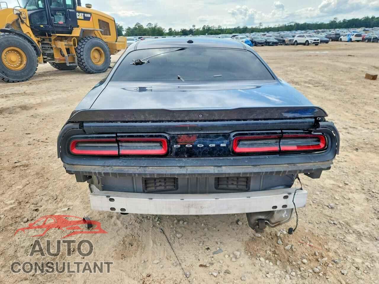 DODGE CHALLENGER 2019 - 2C3CDZAG0KH531610