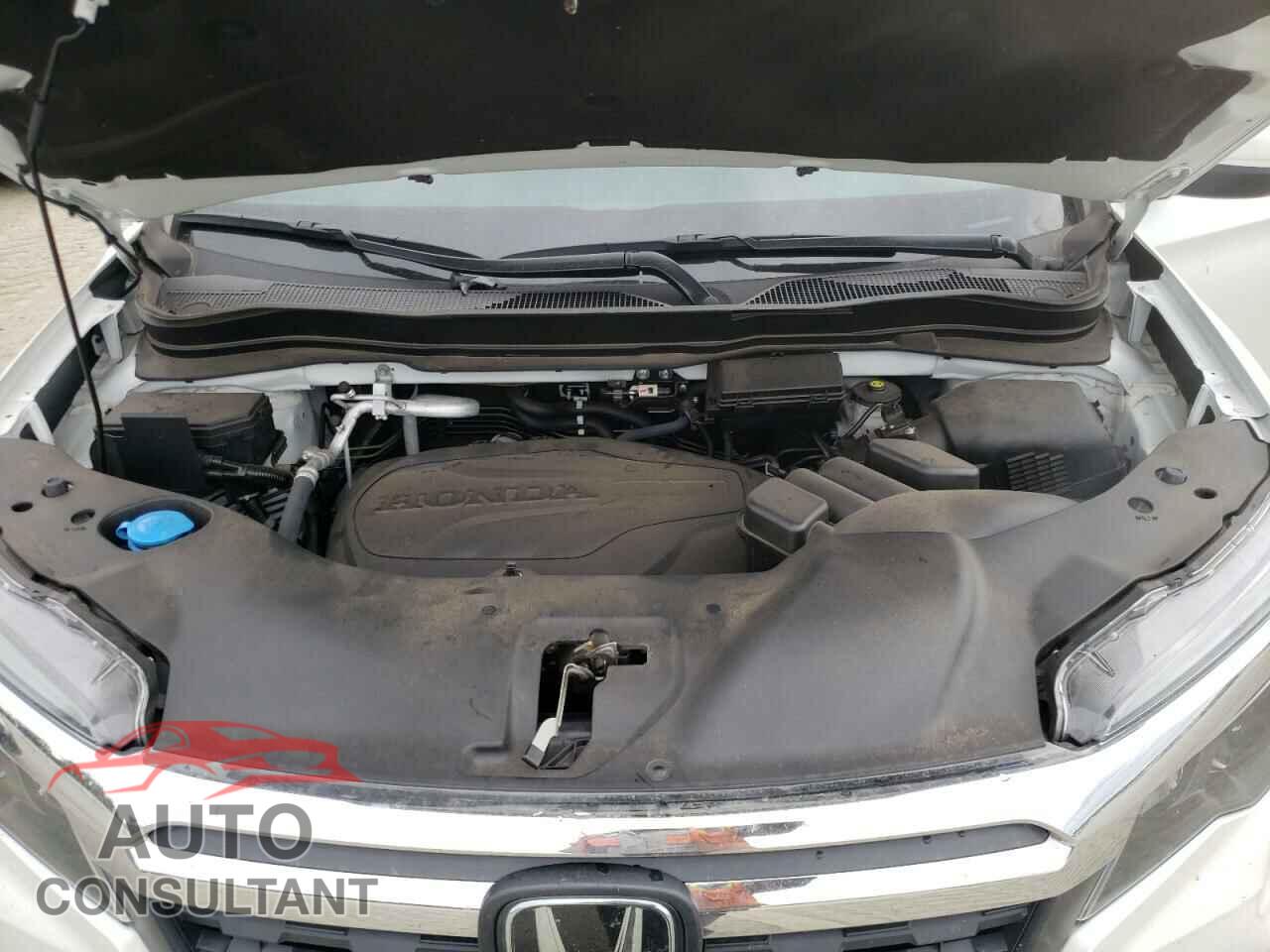 HONDA RIDGELINE 2020 - 5FPYK3F53LB018314