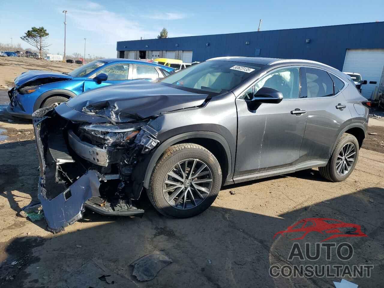 LEXUS NX 350 PRE 2024 - 2T2GGCEZ1RC058474