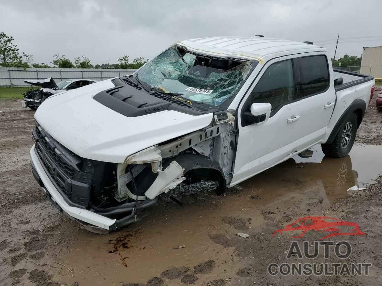 FORD F150 2022 - 1FTFW1RG9NFC42286
