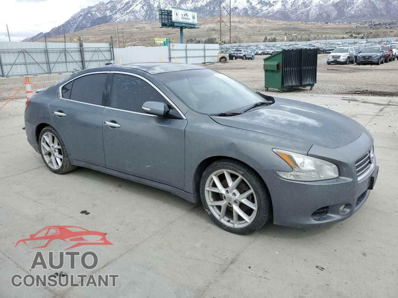 NISSAN MAXIMA 2009 - 1N4AA51E09C850902