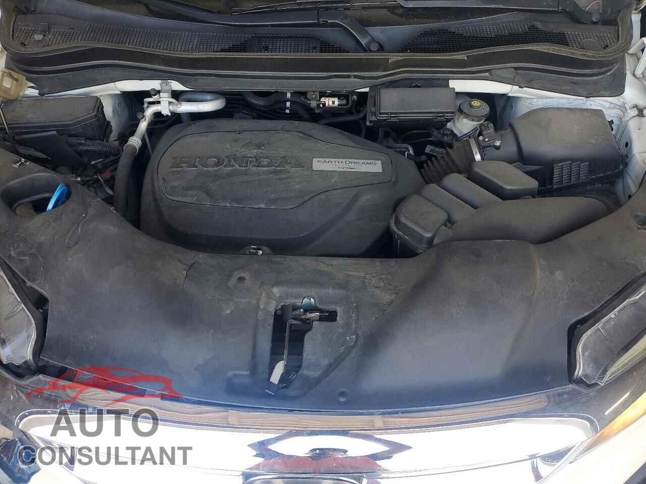 HONDA PILOT 2019 - 5FNYF5H51KB012533