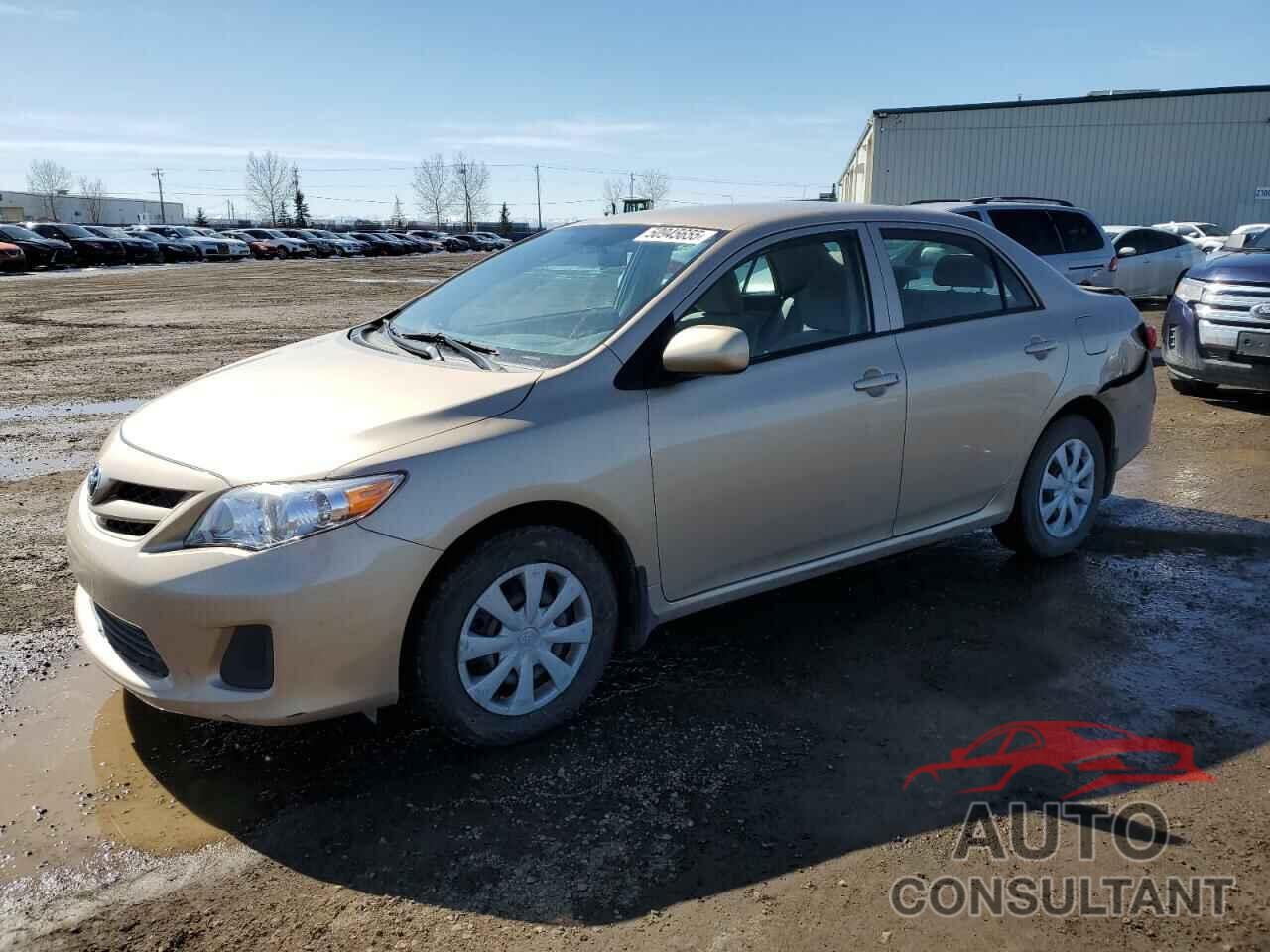 TOYOTA COROLLA 2011 - 2T1BU4EE5BC693763