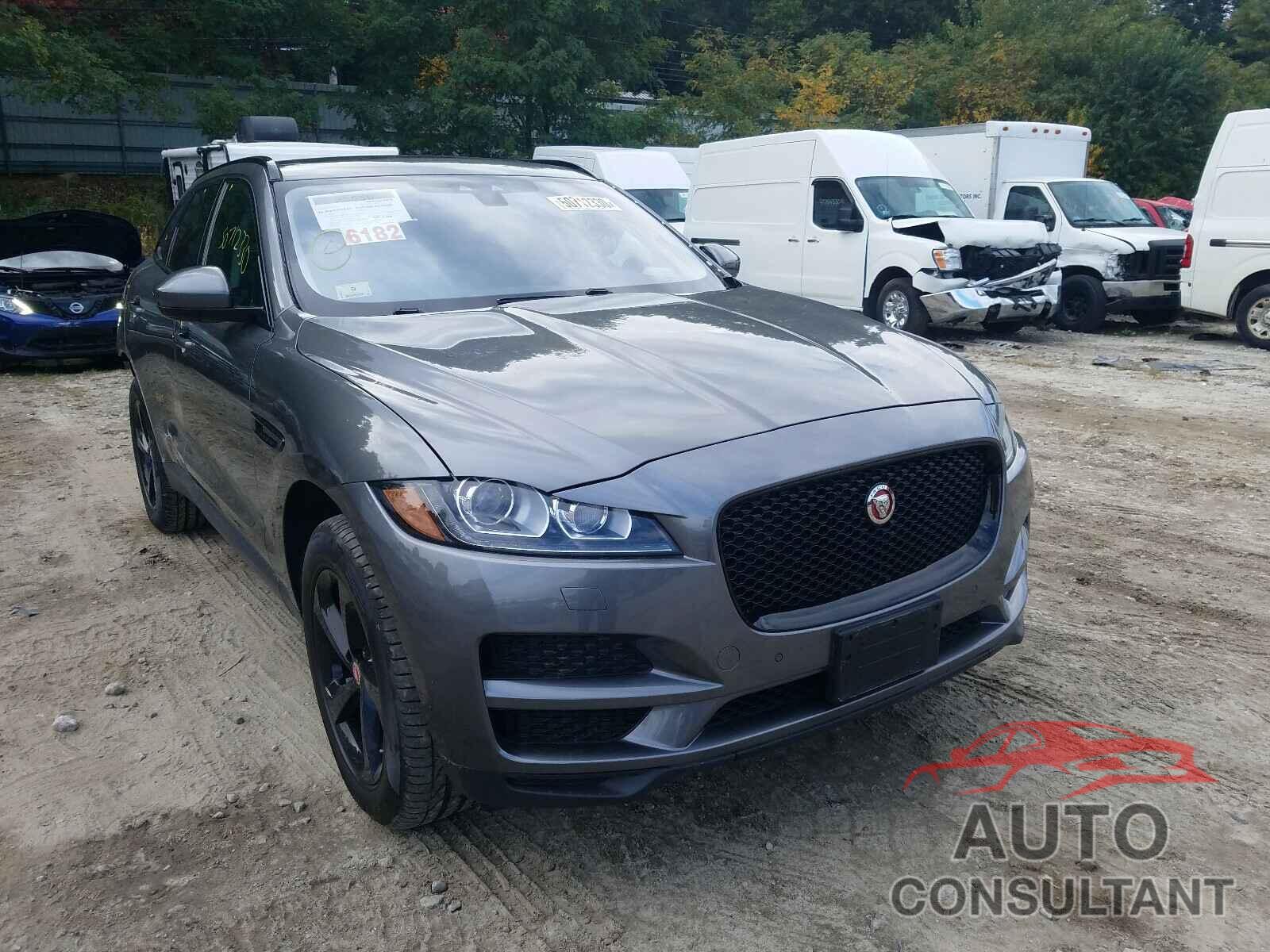 JAGUAR F-PACE 2017 - SADCK2BV2HA887168