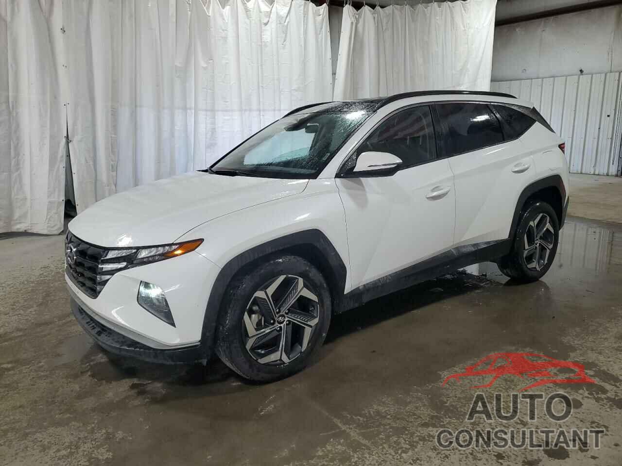 HYUNDAI TUCSON 2023 - KM8JFCA12PU135670