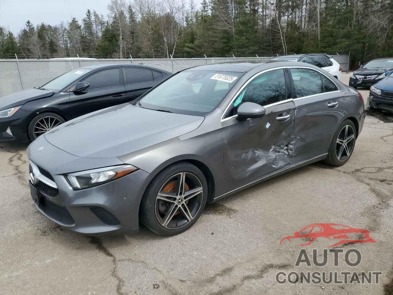 MERCEDES-BENZ A-CLASS 2019 - WDD3G4FB2KW031250
