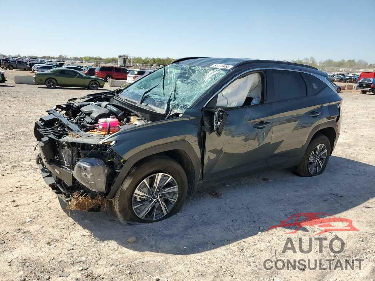 HYUNDAI TUCSON 2023 - KM8JBCA16PU113621