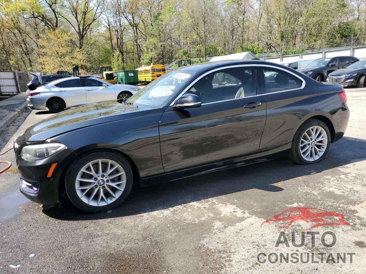 BMW 2 SERIES 2016 - WBA1G9C53GV726361