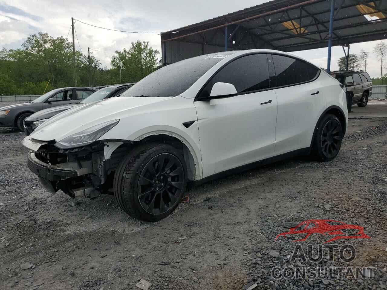 TESLA MODEL Y 2022 - 7SAYGDEE8NF368061