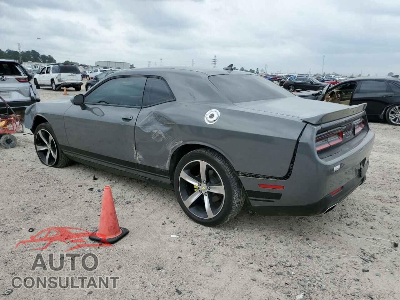 DODGE CHALLENGER 2019 - 2C3CDZAG9KH625081