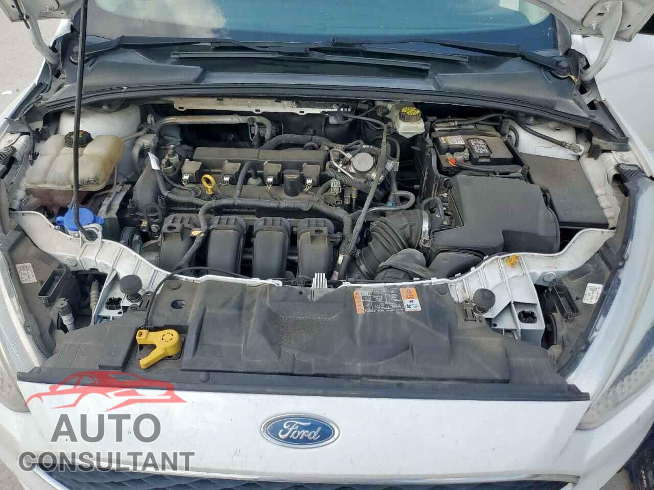 FORD FOCUS 2017 - 1FADP3E25HL313571