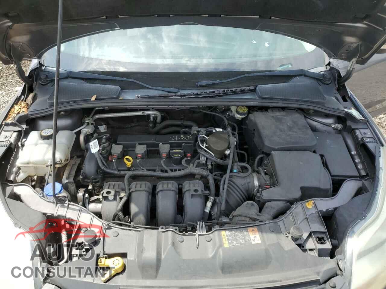 FORD FOCUS 2014 - 1FADP3F2XEL321594