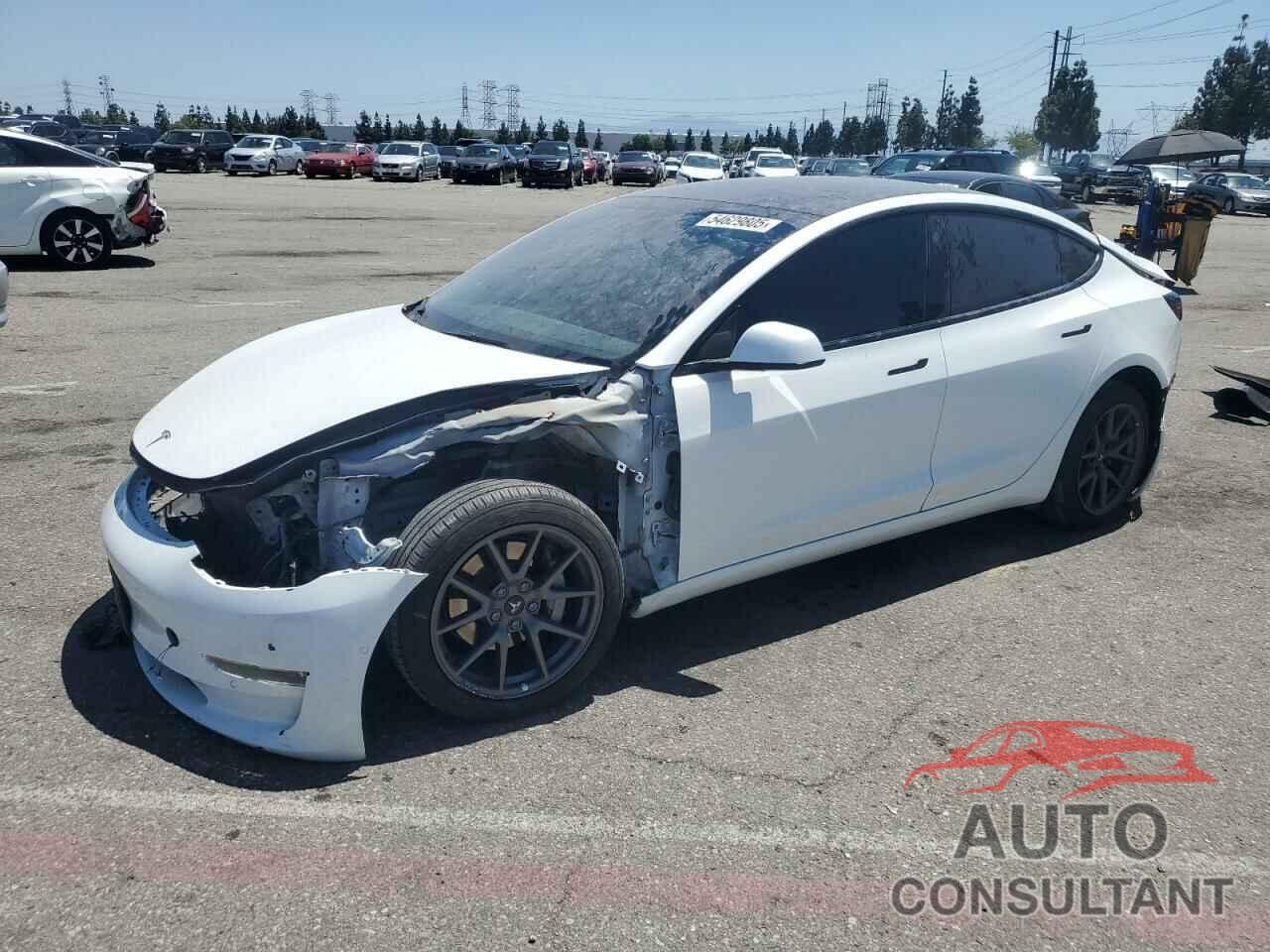 TESLA MODEL 3 2022 - 5YJ3E1EA0NF116958