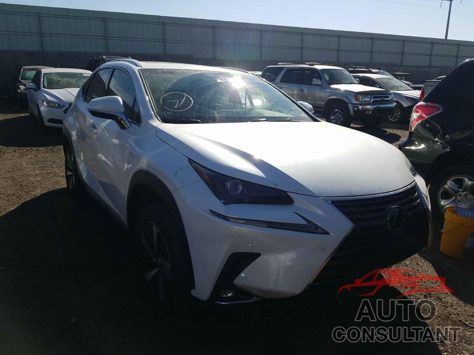 LEXUS NX 2019 - JTJYARBZ2K2122718