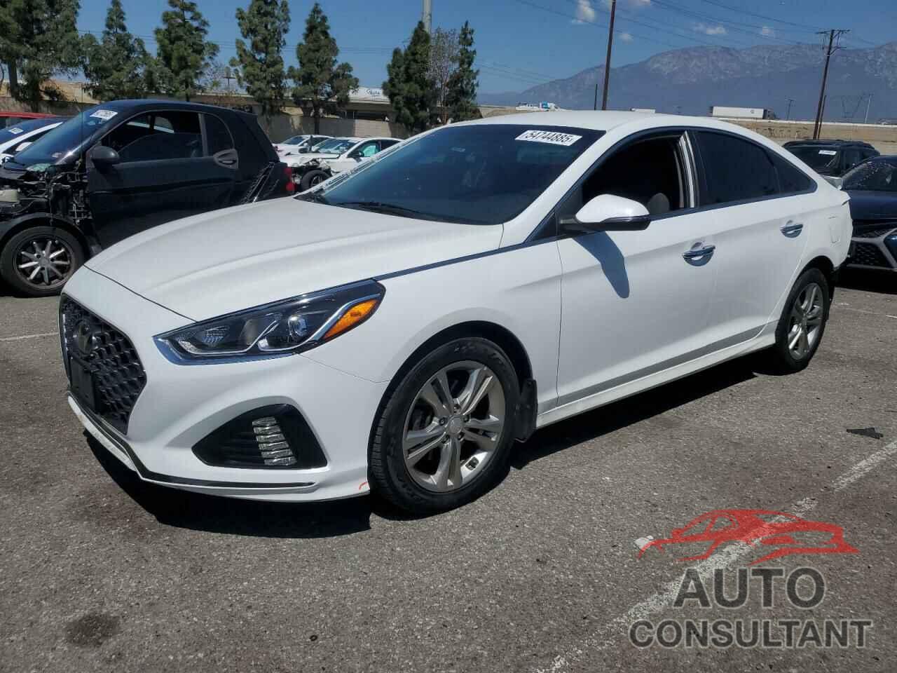 HYUNDAI SONATA 2019 - 5NPE34AF0KH735445