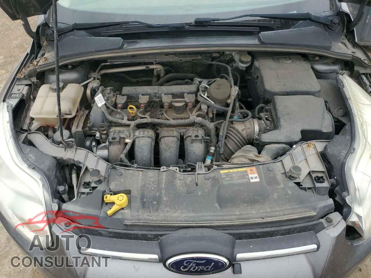 FORD FOCUS 2014 - 1FADP3F23EL199676