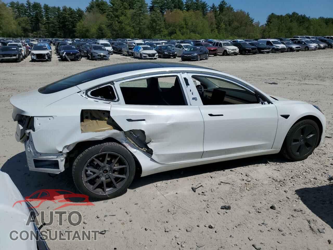 TESLA MODEL 3 2021 - 5YJ3E1EB1MF014995