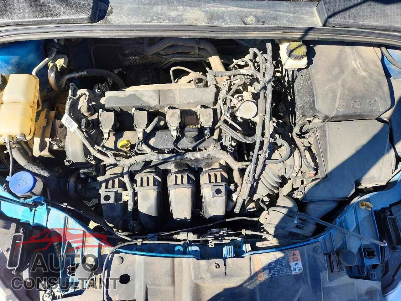 FORD FOCUS 2017 - 1FADP3K2XHL220467