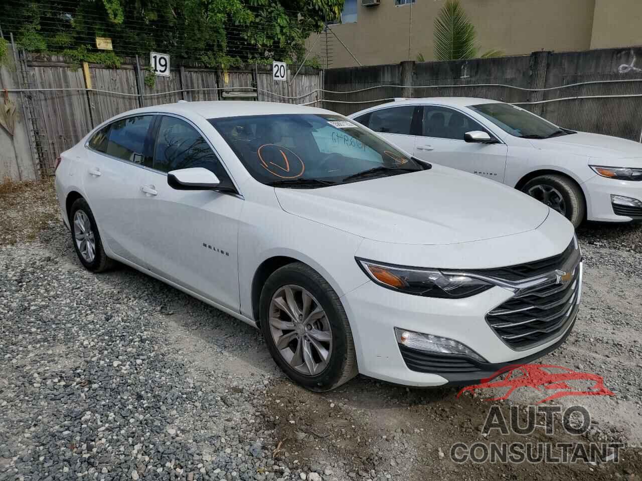 CHEVROLET MALIBU 2019 - 1G1ZD5ST7KF186502