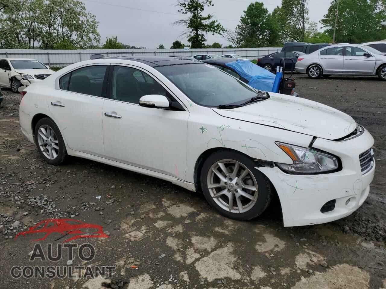 NISSAN MAXIMA 2011 - 1N4AA5AP1BC859745