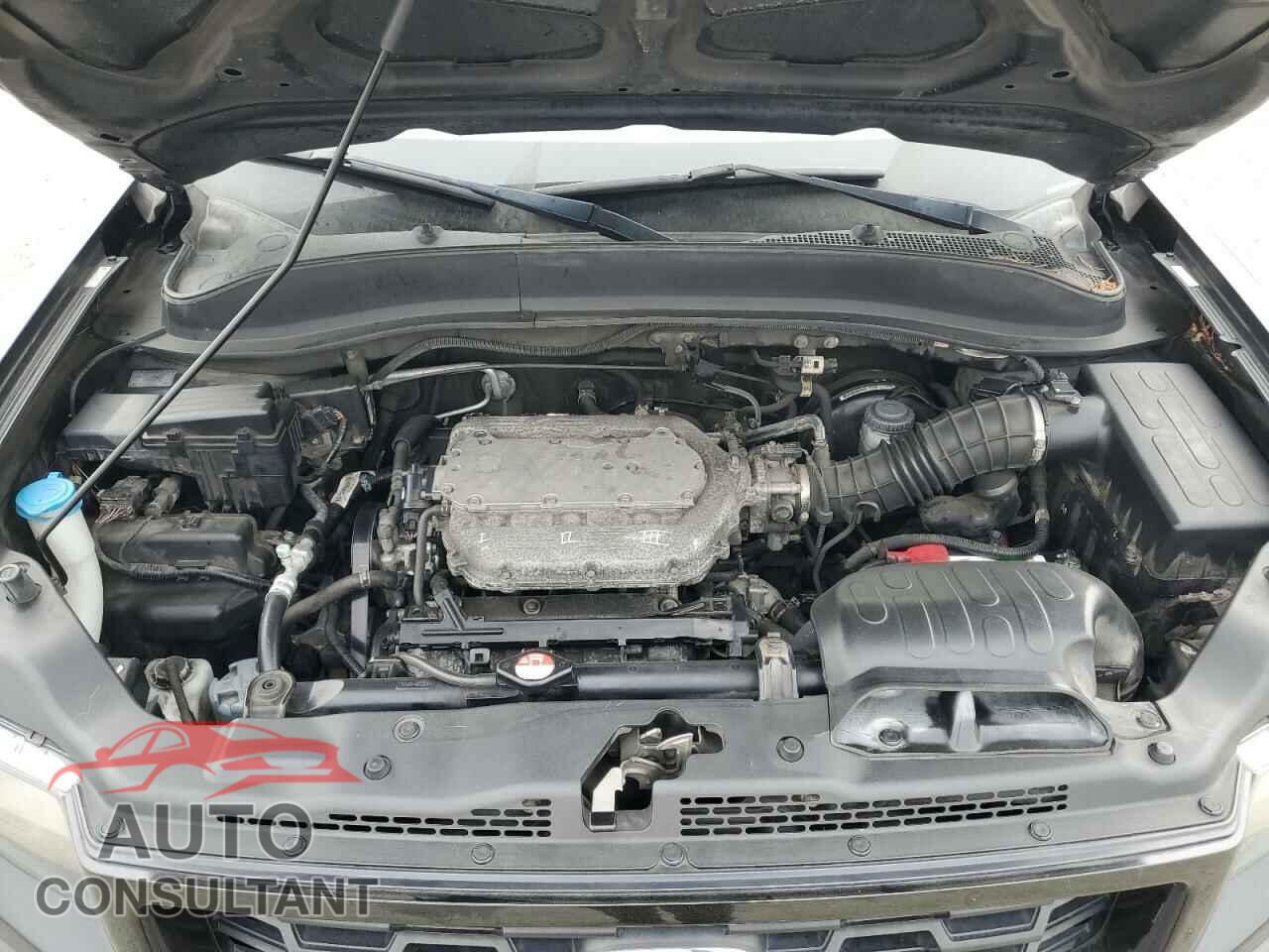 HONDA RIDGELINE 2013 - 5FPYK1F77DB015049