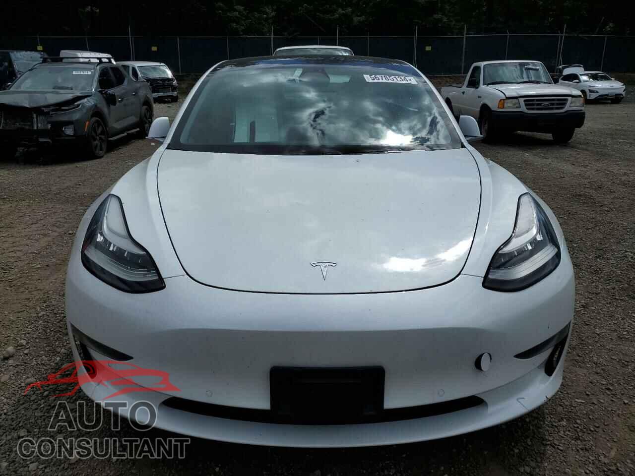 TESLA MODEL 3 2019 - 5YJ3E1EA3KF444886