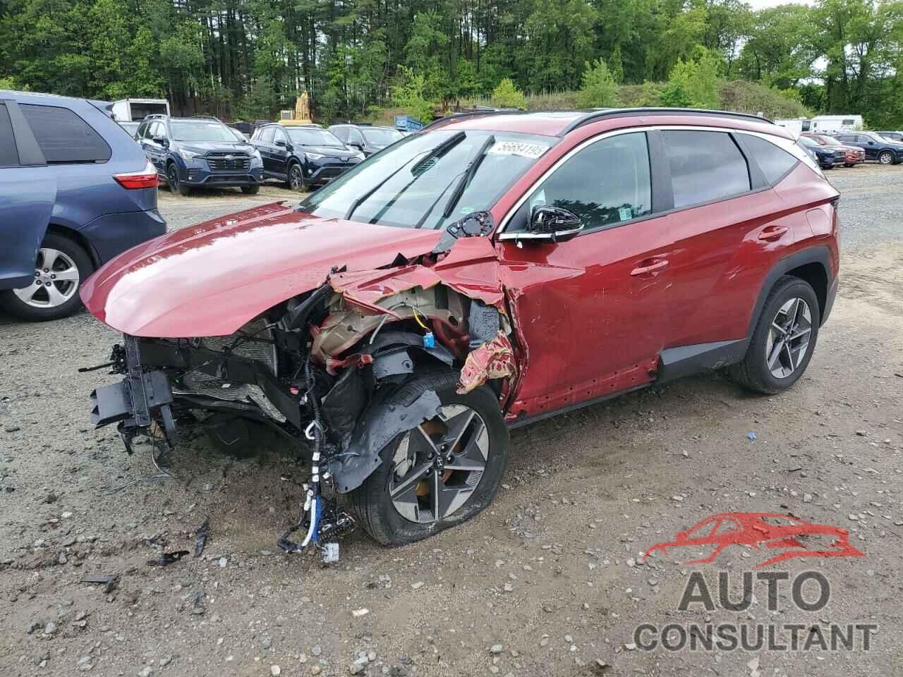 HYUNDAI TUCSON 2025 - 5NMJCCDE0SH460393