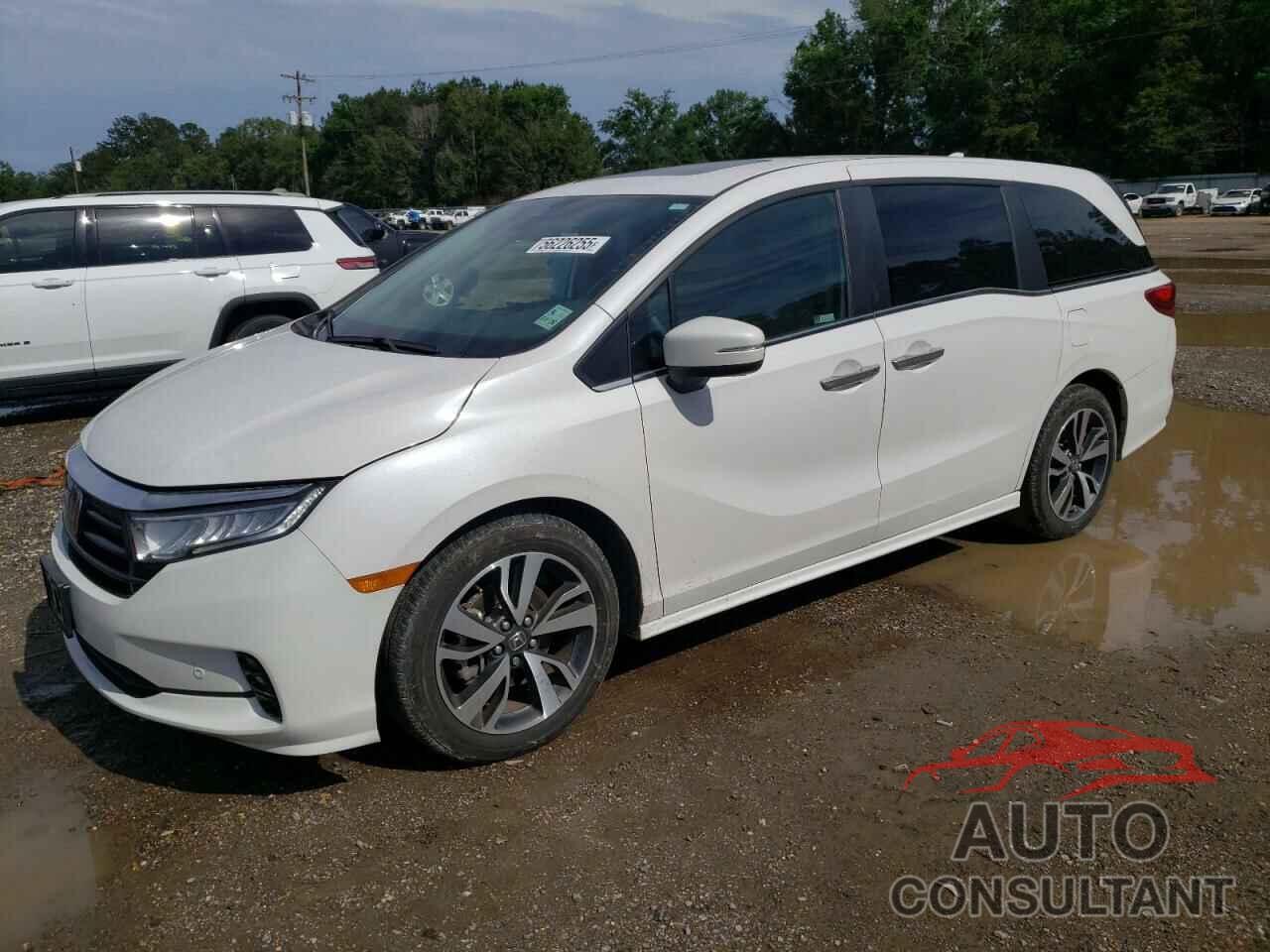 HONDA ODYSSEY 2024 - 5FNRL6H84RB024909